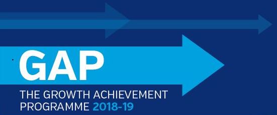 GAP Logo