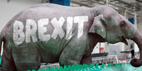 elephant with brexit written on it