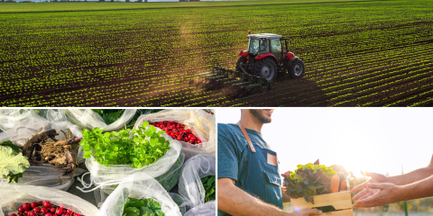 Image of tractor in field, hand with vegetables and herbs growing in a bag
