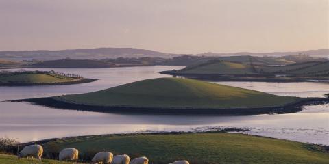 Strangford Lough