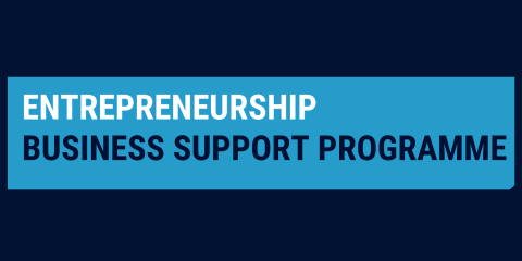 Entrepreneurship programme