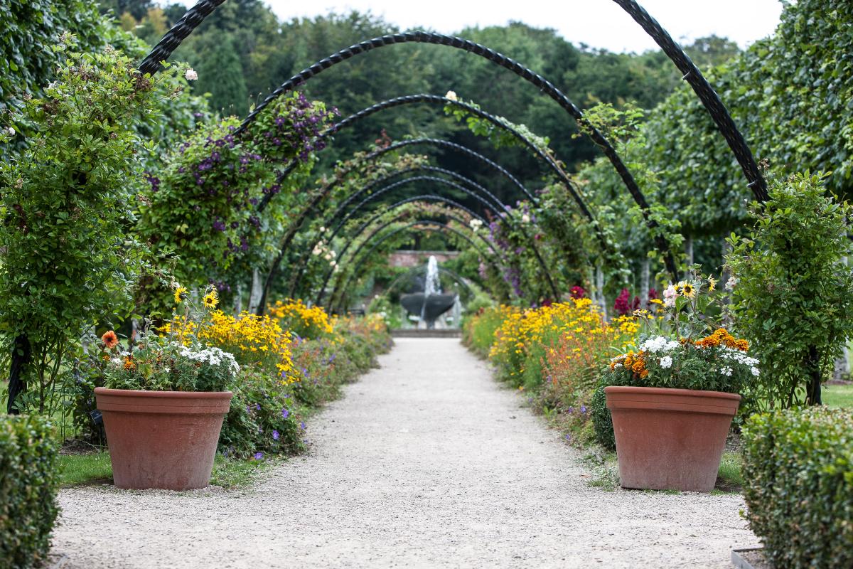 Bangor Castle Walled Garden