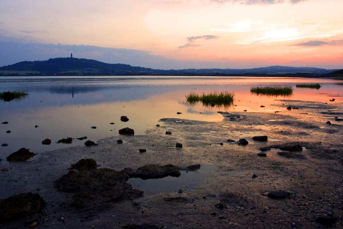 Strangford Lough and Scrabo Tower